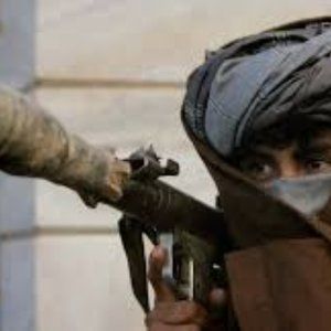 Meet your Posher, Poodle